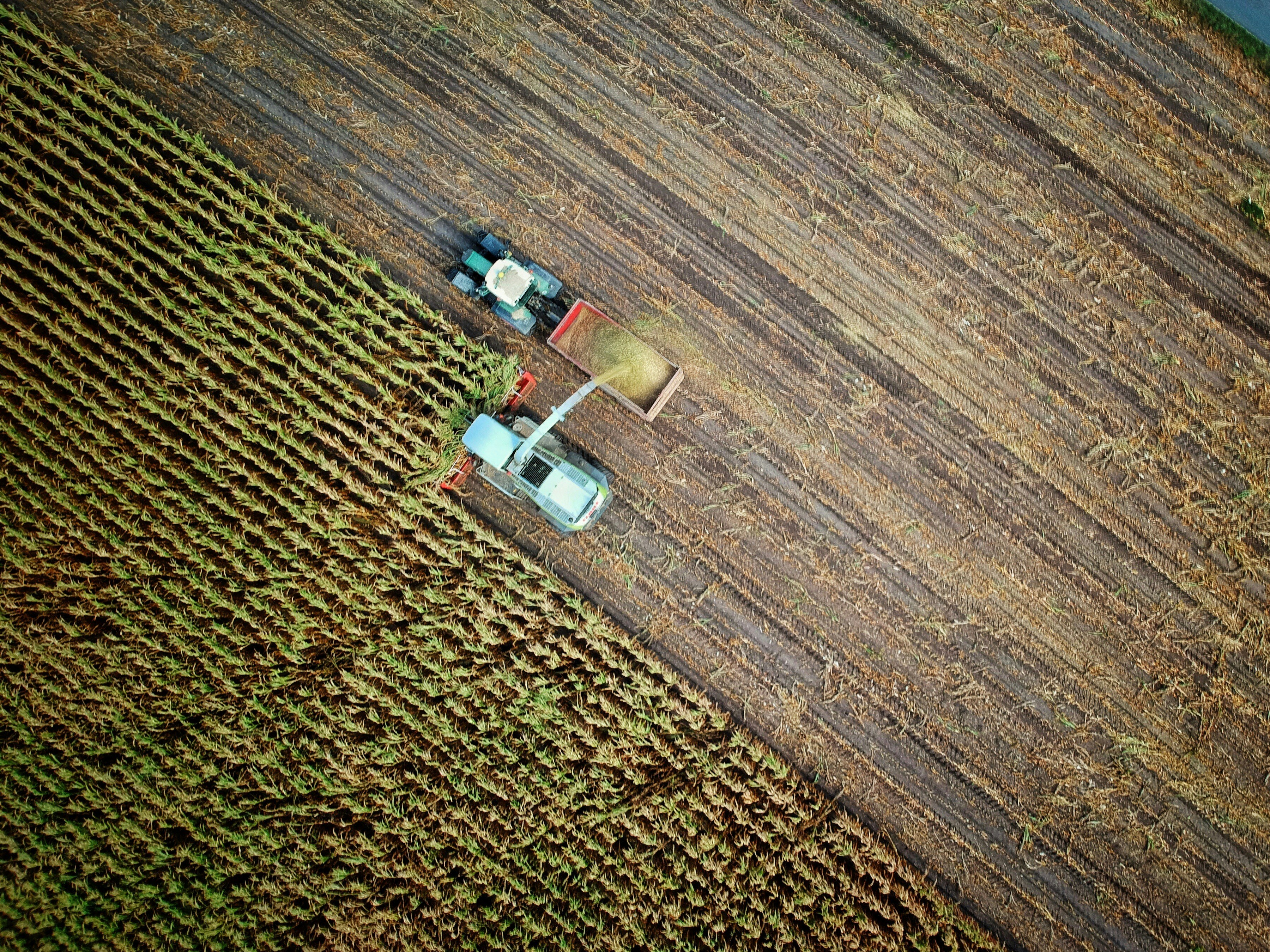Sustainable Future